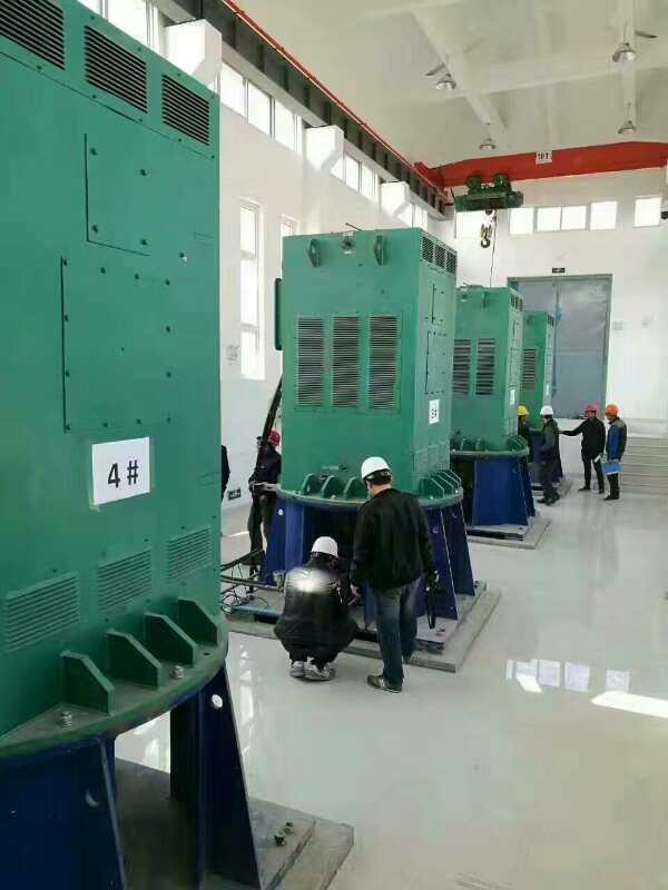Y5003-4某污水处理厂使用我厂的立式高压电机安装现场