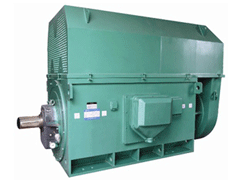 Y5003-4Y系列6KV高压电机