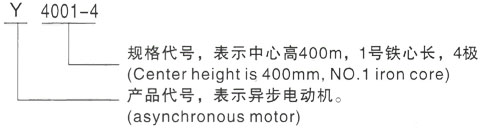 西安泰富西玛Y系列(H355-1000)高压Y5003-4三相异步电机型号说明