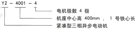 YR系列(H355-1000)高压Y5003-4三相异步电机西安西玛电机型号说明